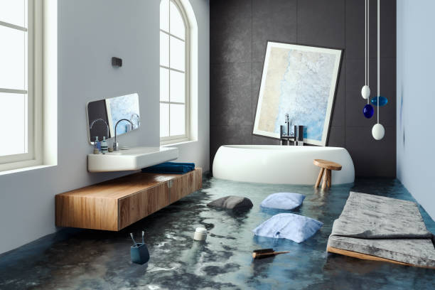 Best 24/7 water damage repair  in Capitan, NM