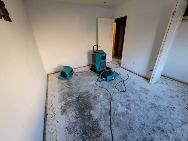 Best Water damage restoration near me  in Capitan, NM